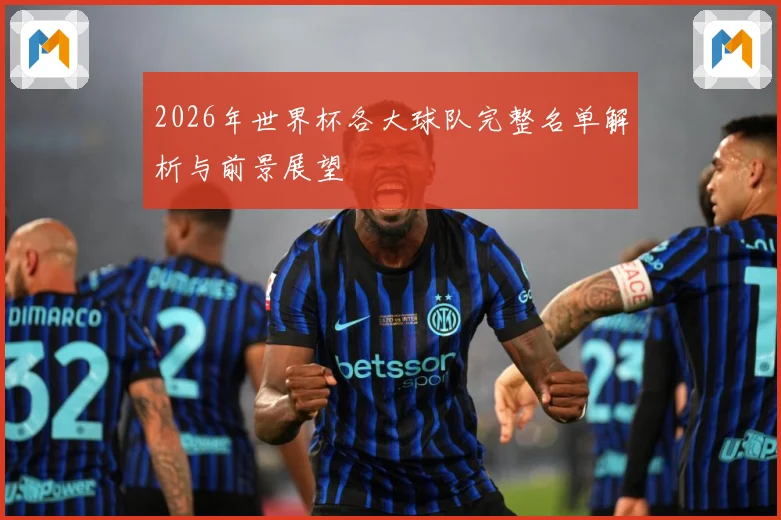 2026年世界杯各大球队完整名单解析与前景展望