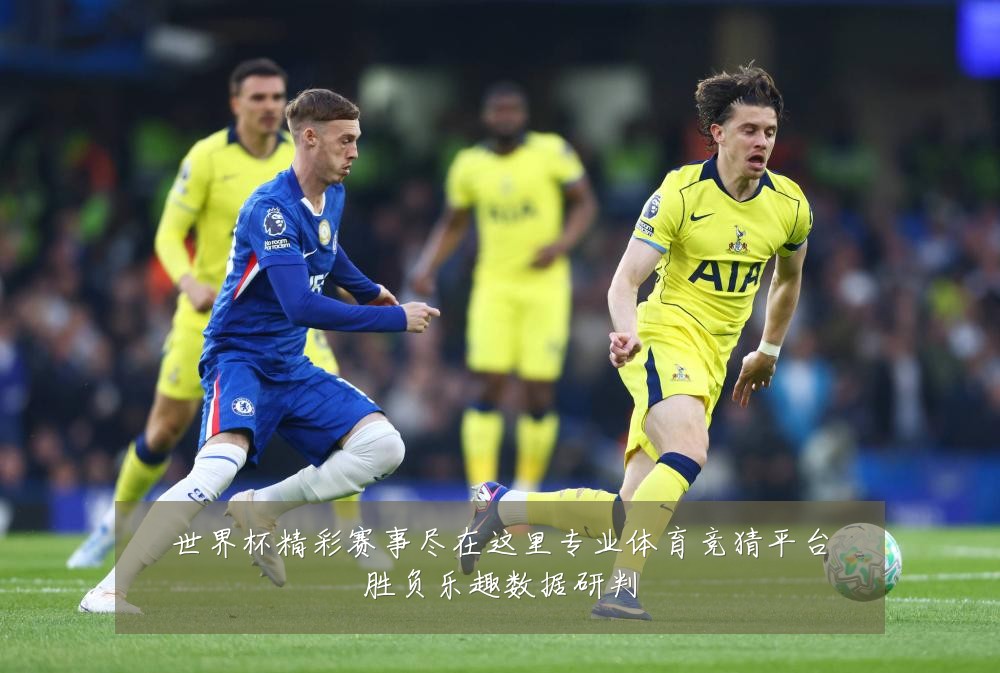世界杯精彩赛事尽在这里专业体育竞猜平台胜负乐趣数据研判